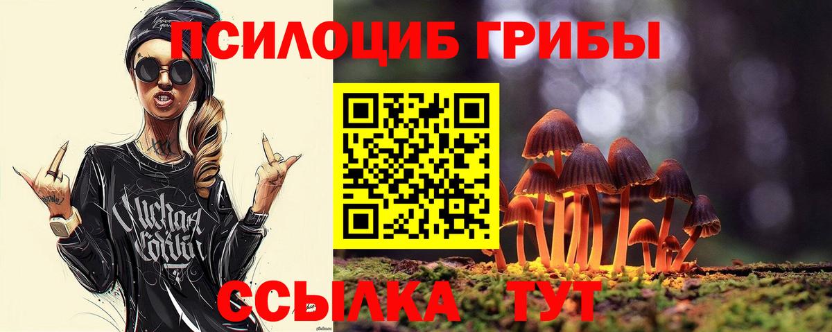 Псилоцибиновые грибы Psilocybe  купить наркоту  Артём  Вход с VPN 