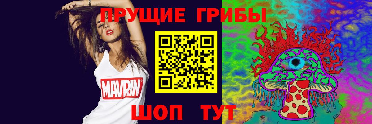 Псилоцибиновые грибы Psilocybe Артём